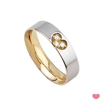 Aliança Passion Basic - 6 mm PRATA