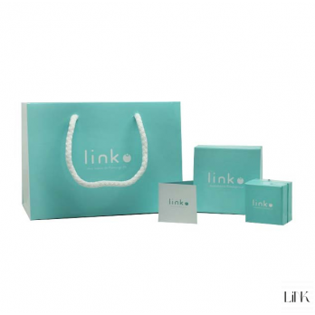 Brincos Link  PRATA DOURADA