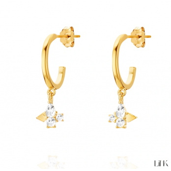 Brincos Link  PRATA DOURADA