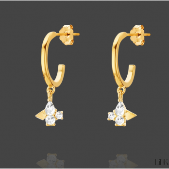 Brincos Link  PRATA DOURADA