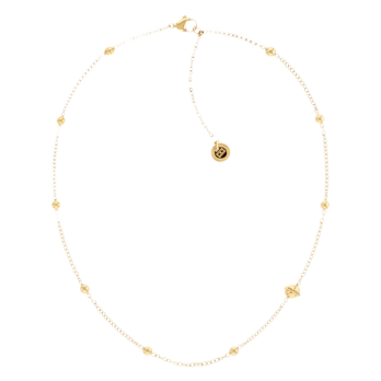 COLAR  TOMMY  HILFIGER