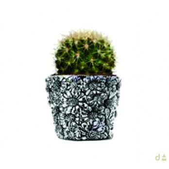 Vaso Dhome Margaridas BILAMINADO DE PRATA