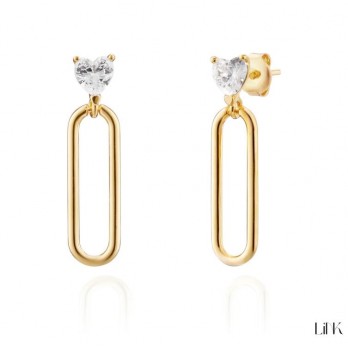 Brincos Link  PRATA DOURADA