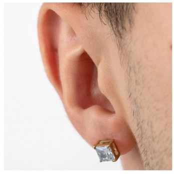 BRINCOS LOTUS STYLE LS2166-4/3