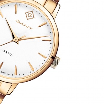 Relogio Gant Park Avenue Dourado G126004