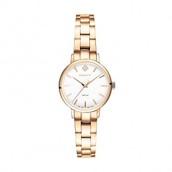 Relogio Gant Park Avenue Dourado G126004