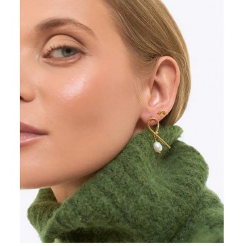 Brincos  Prata Dourada Averie  MESH 8245005C1