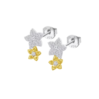 BRINCOS  PRATA LOTUS LP3836-4/2