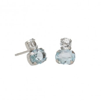 Brincos Crystals swarovski®  VictoriaCruz Prata A5034-91HT
