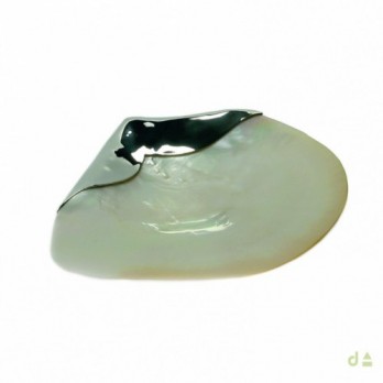 CONCHA BATISMO PRATA