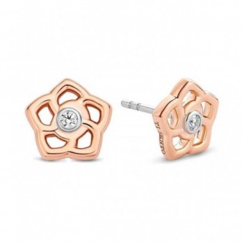 BRINCOS PRATA TI SENTO