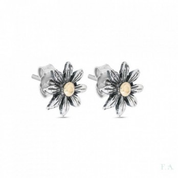 BRINCOS  PRATA E OURO 9K