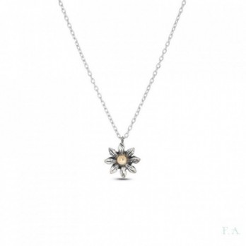 COLAR  PRATA E OURO 9K COM