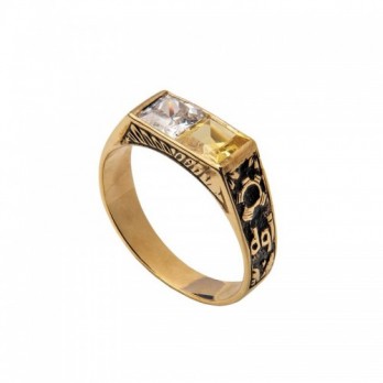 Anel de Curso Passion Gold 19k