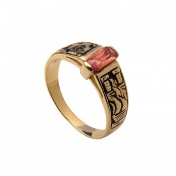 Anel de Curso Passion Gold 19k