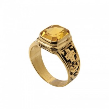 Anel de Curso Passion Gold 19k