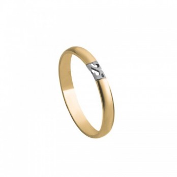 Aliança Bodas Prata Passion Gold 19.2k