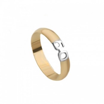 Aliança Bodas Ouro Passion Gold 19.2k