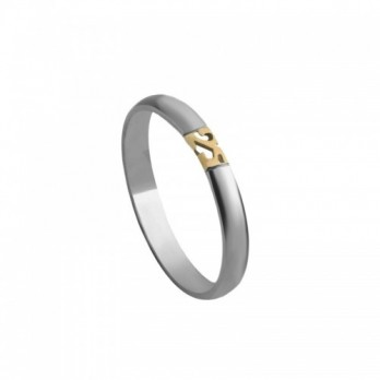 Aliança Bodas Prata Passion Gold 19.2k